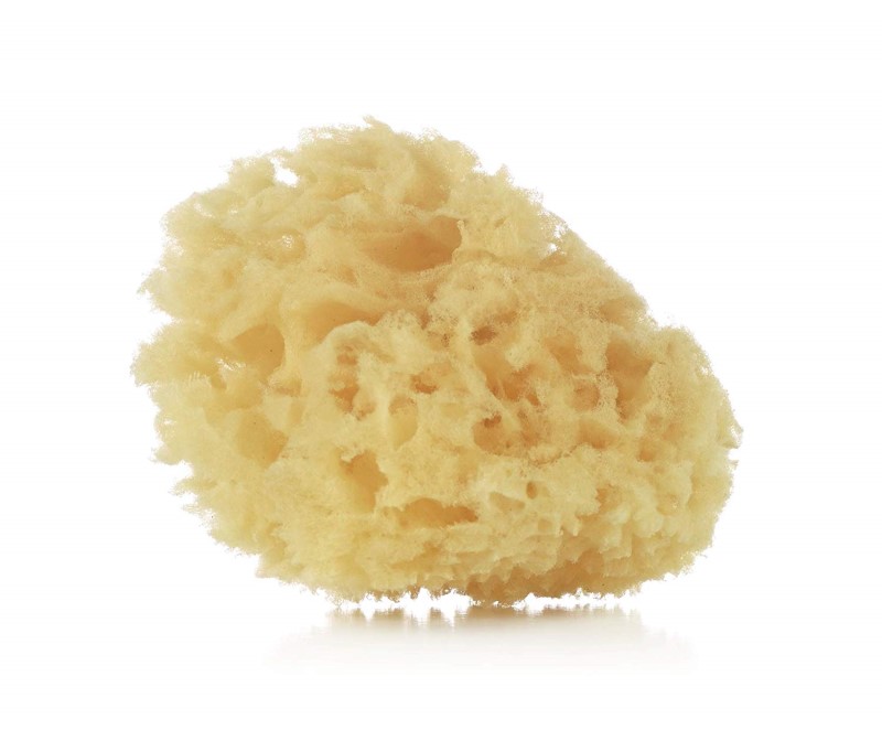 88860-ESPONJA NATURAL JANE X2(26-6)-0